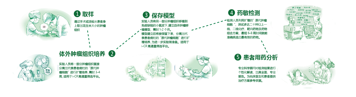 精准医疗用户手册_不同癌种简略版_用药方案_180806-11.jpg