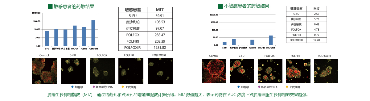 精准医疗用户手册_不同癌种简略版_用药方案_180806-12.jpg